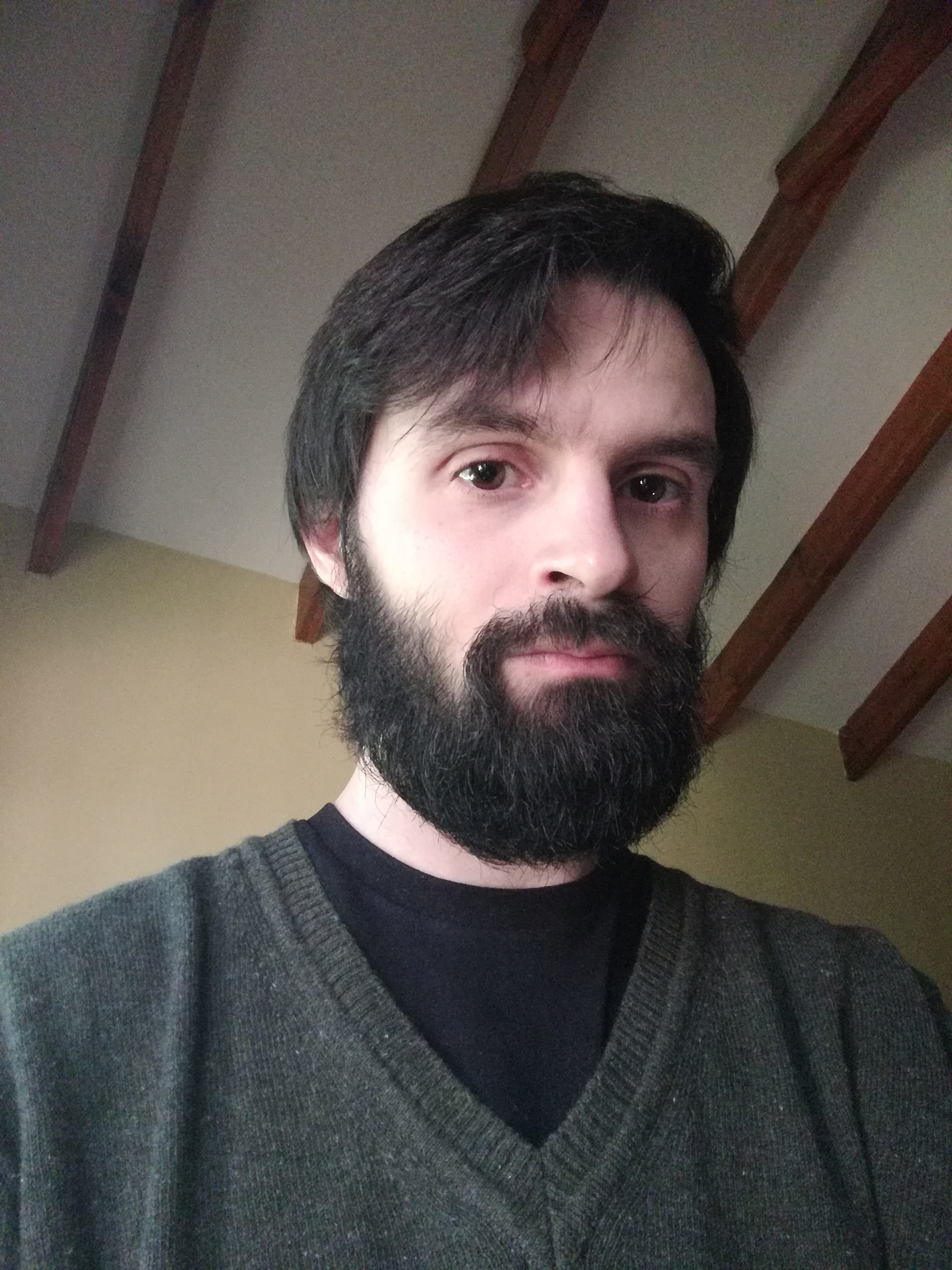 Francisco Battistella — Filosofía